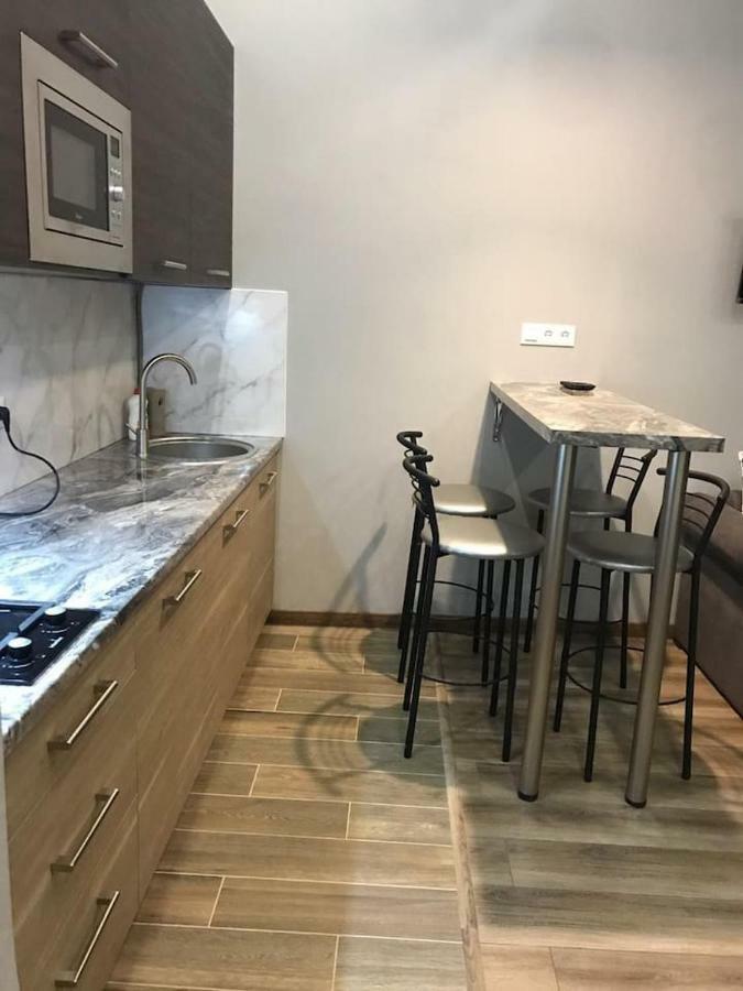 New Appartment-Studio Іn The Center Of Lviv Bagian luar foto