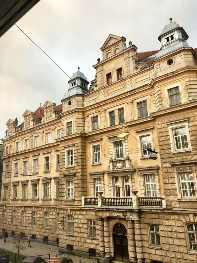 New Appartment-Studio Іn The Center Of Lviv Bagian luar foto